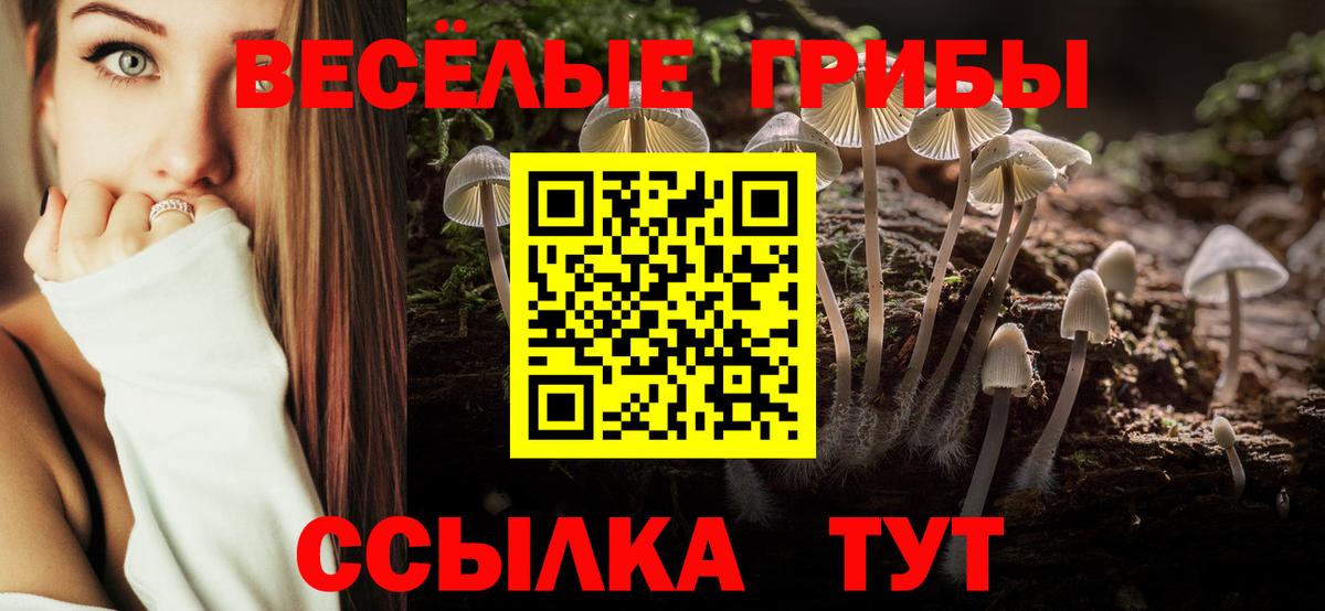 Псилоцибиновые грибы Magic Shrooms Заречный