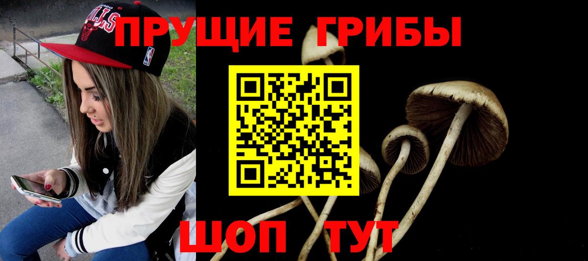 Заречный  Псилоцибиновые грибы мицелий  Вход с VPN 